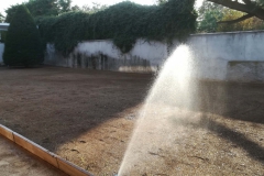 Impianto irrigazione e tappeto erboso