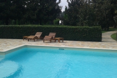 Manutenzione giardino villa padronale