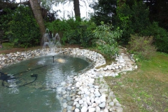 Manutenzione laghetto ornamentale