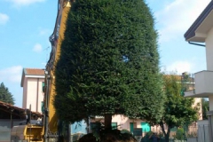 P1030681b